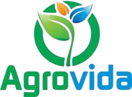 Brand-Image